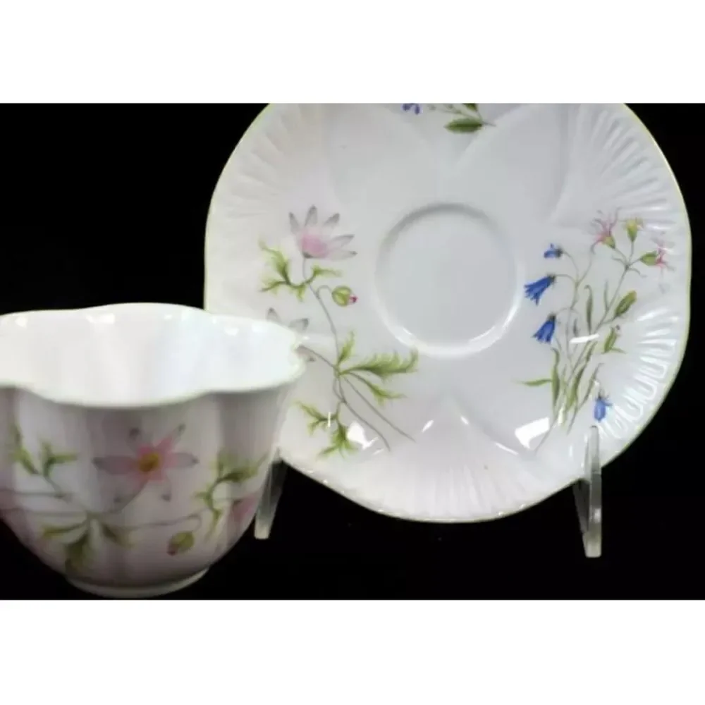 Shelley WILD ANEMONE Flat Cup & Saucer Dainty Shape Bone China 13977